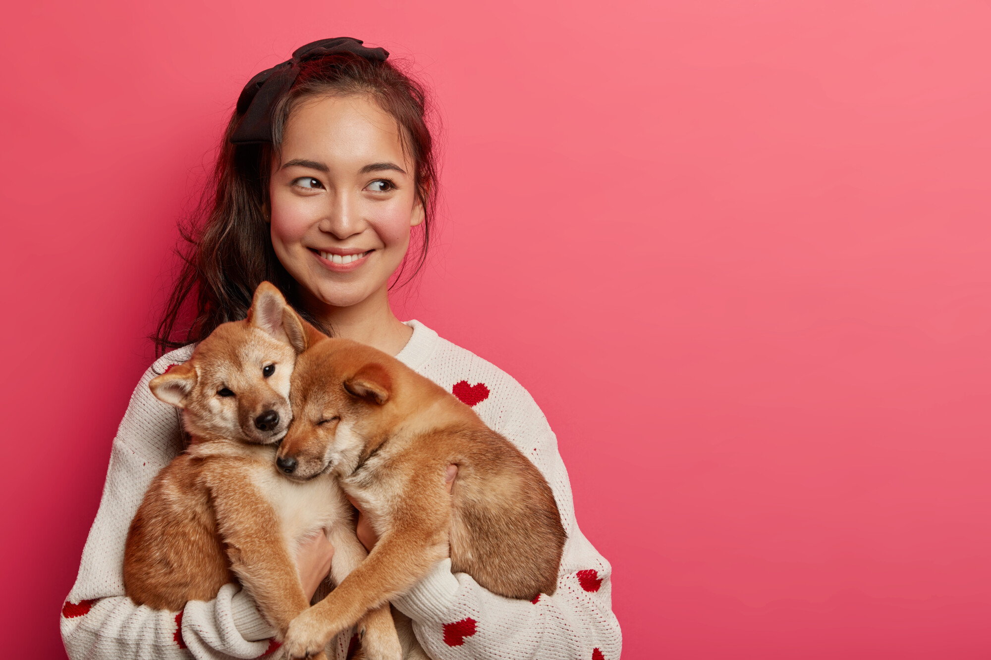 Pros and Cons of Allowing Pets in Your Rental Property in Dunedin, FL