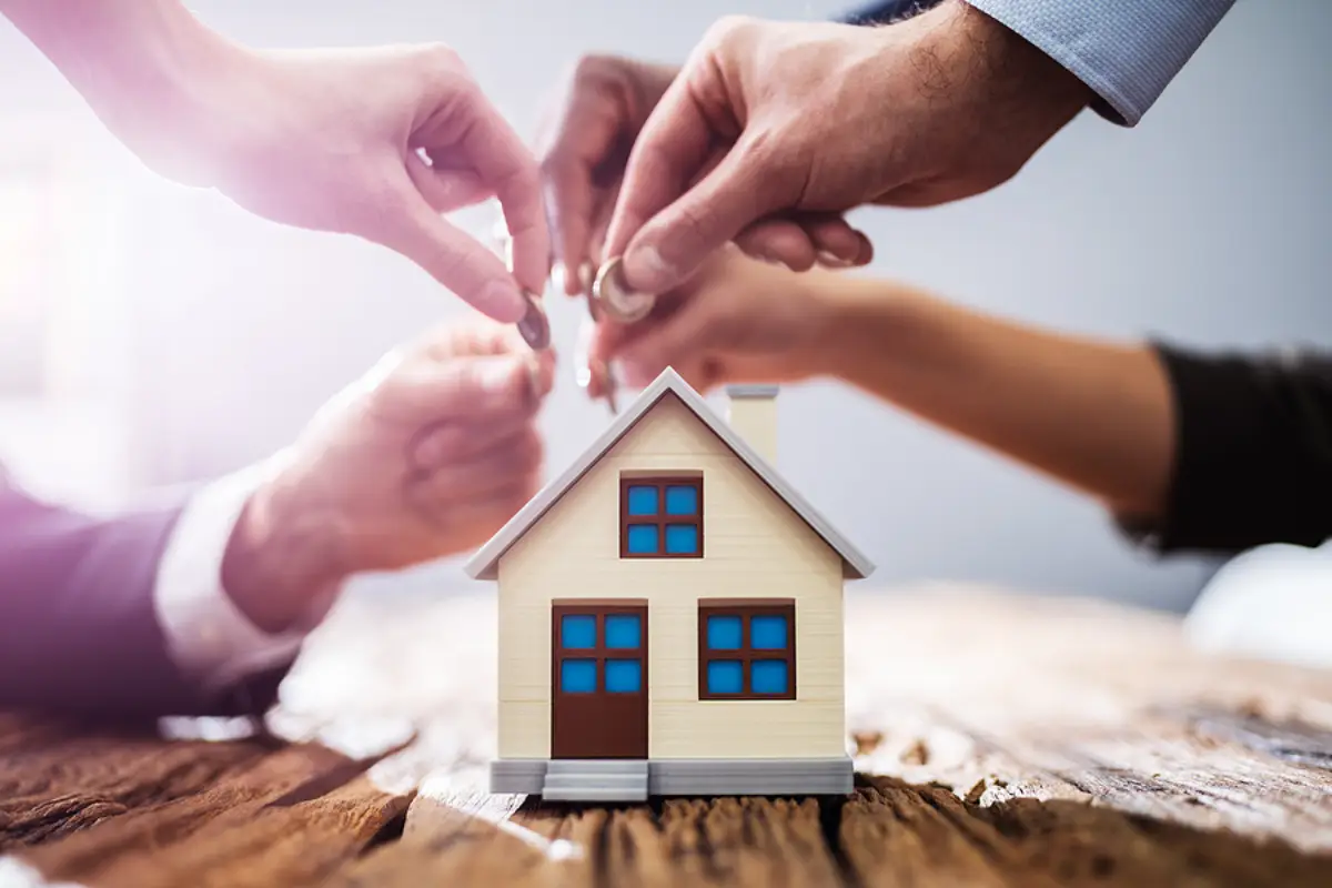 Your Dunedin Rental Looks Stable, But the Numbers May Tell a Different Story