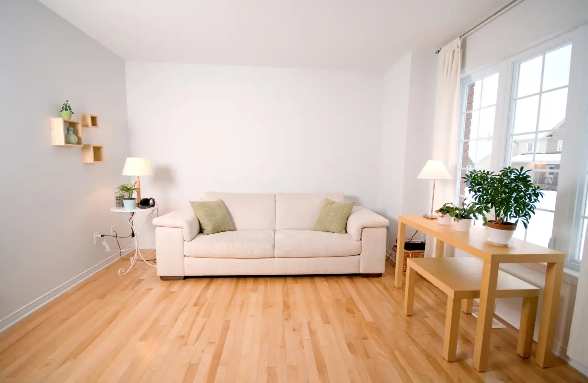 Building a Profitable Budget for Your Dunedin Rental Property