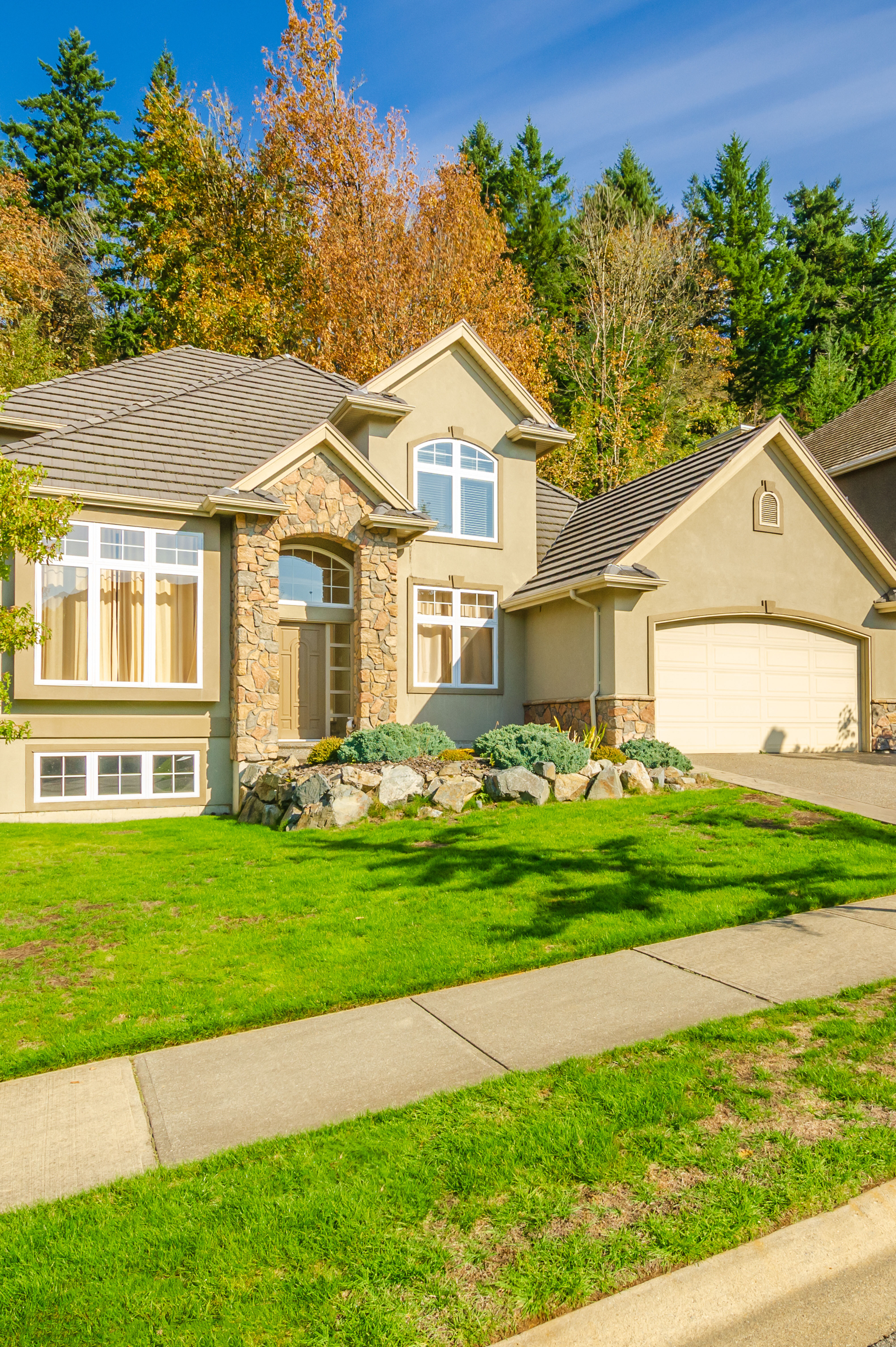Palm Harbor Property Management